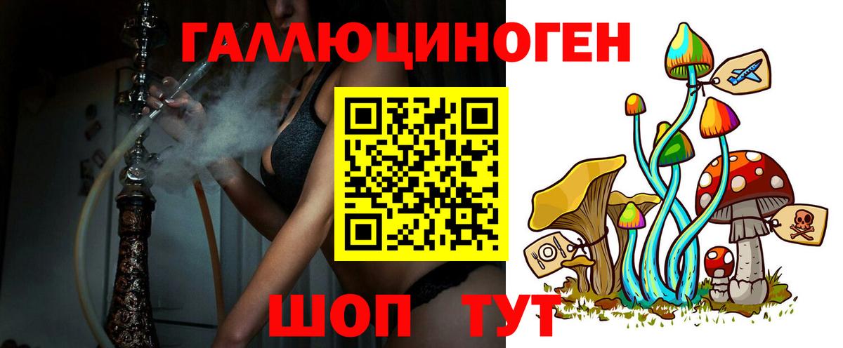 Псилоцибиновые грибы Psilocybine cubensis Тобольск